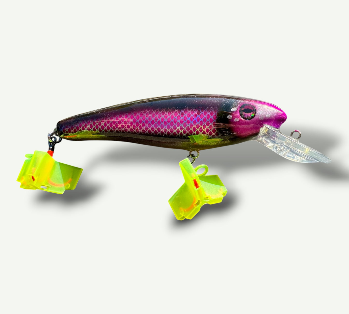 The ErnieCC 6”