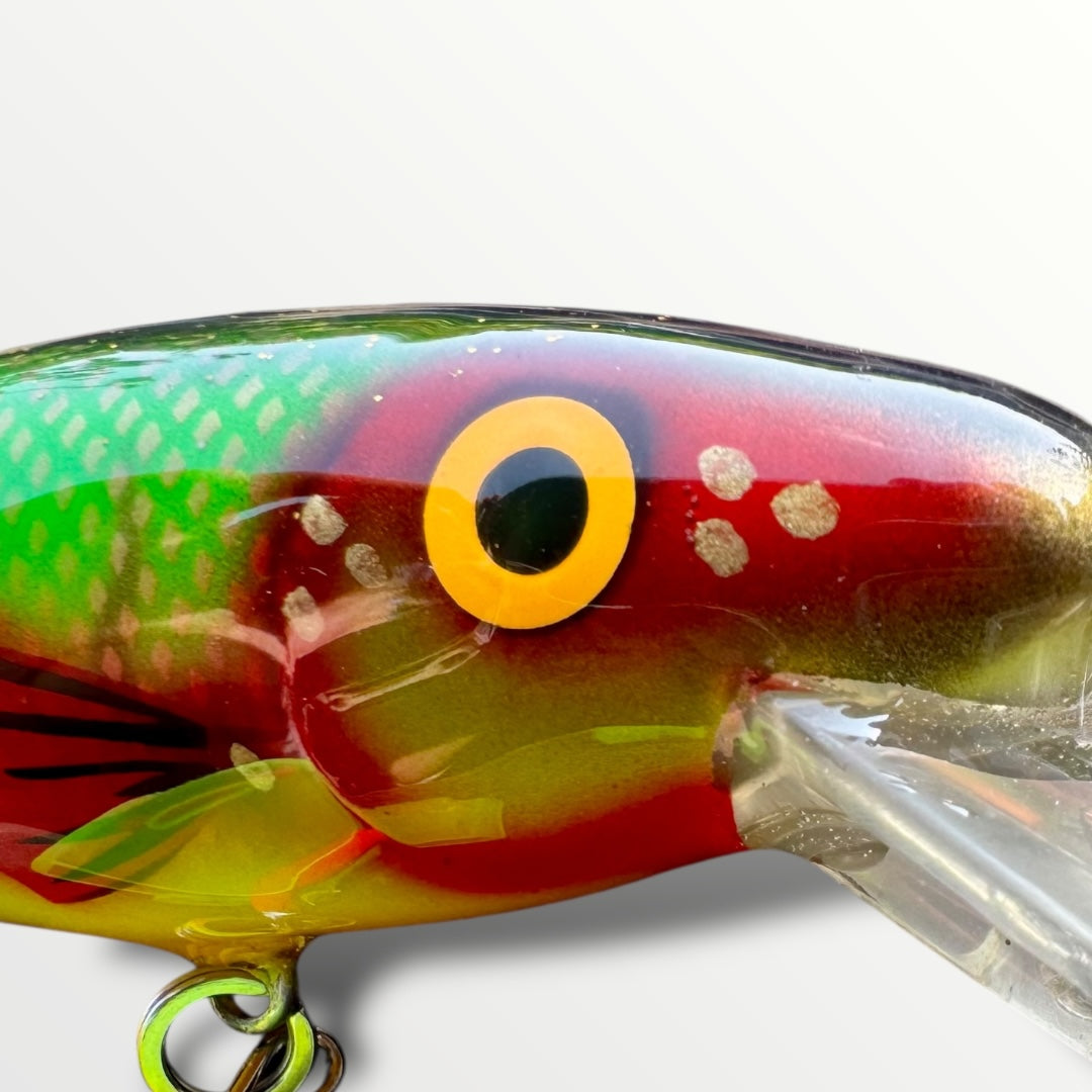 The ErnieCC 6” FireFin