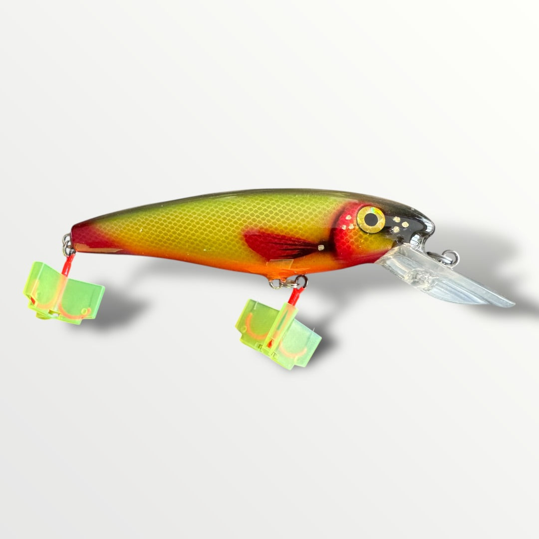 The ErnieCC 6”