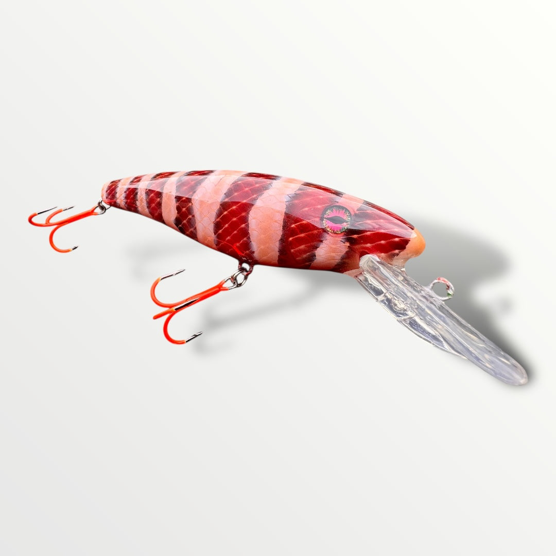 The ErnieCC 6” Snake