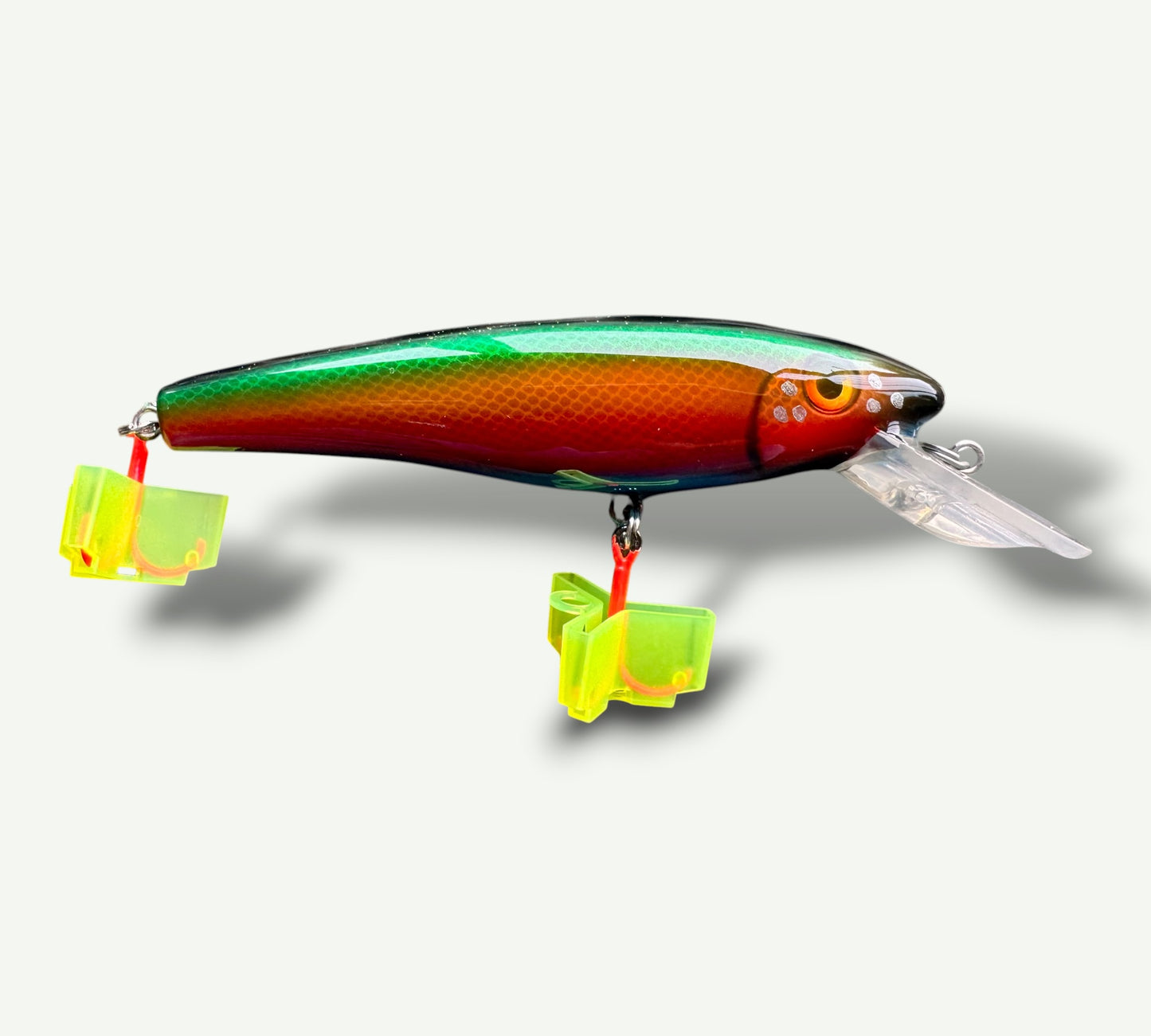 The ErnieCC 6” Rainbow