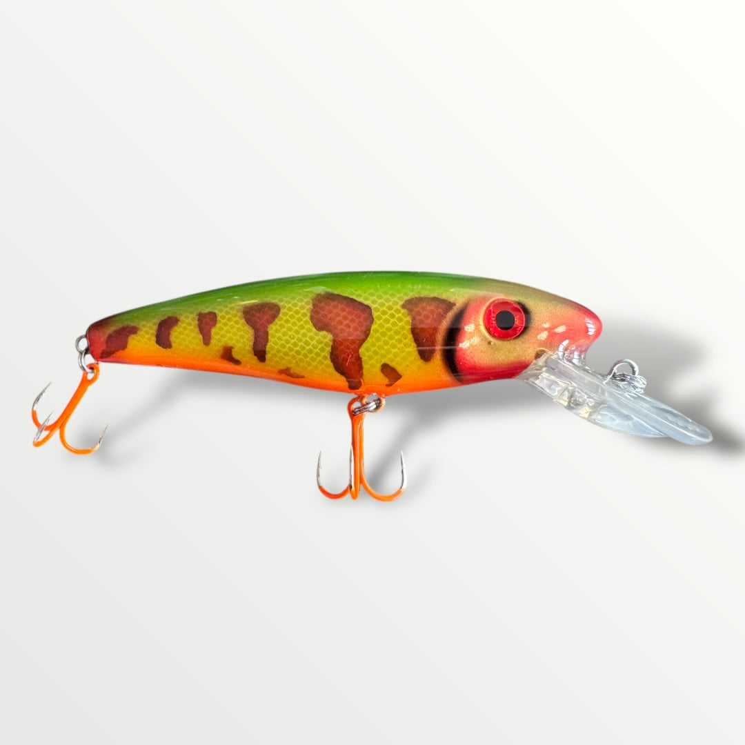The ErnieCC 6” Tiger