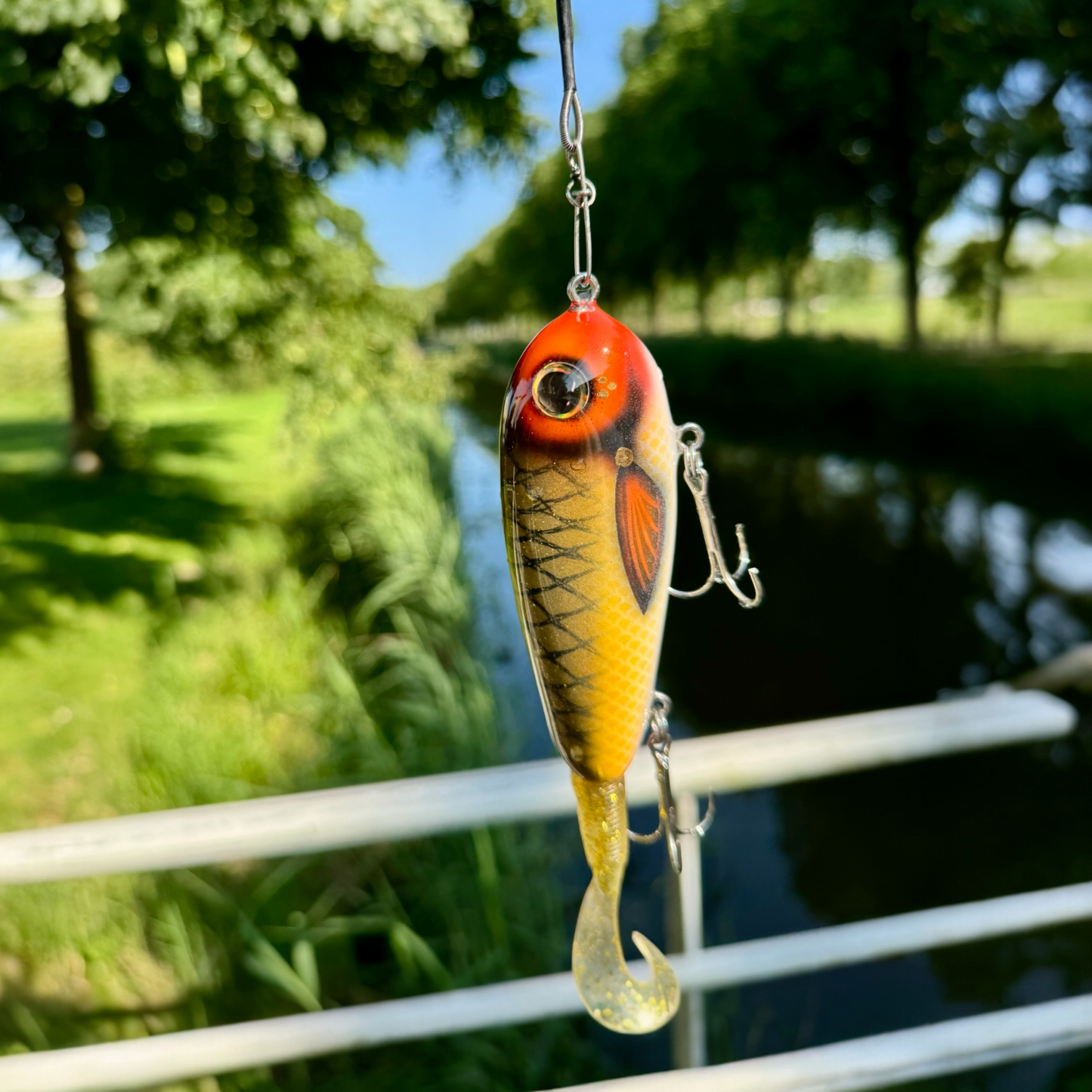 The Woody Goldfish