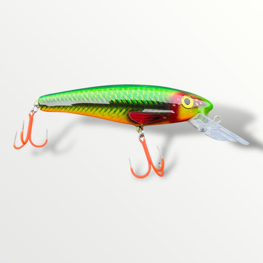 The Erniecc 6” Glowvibe