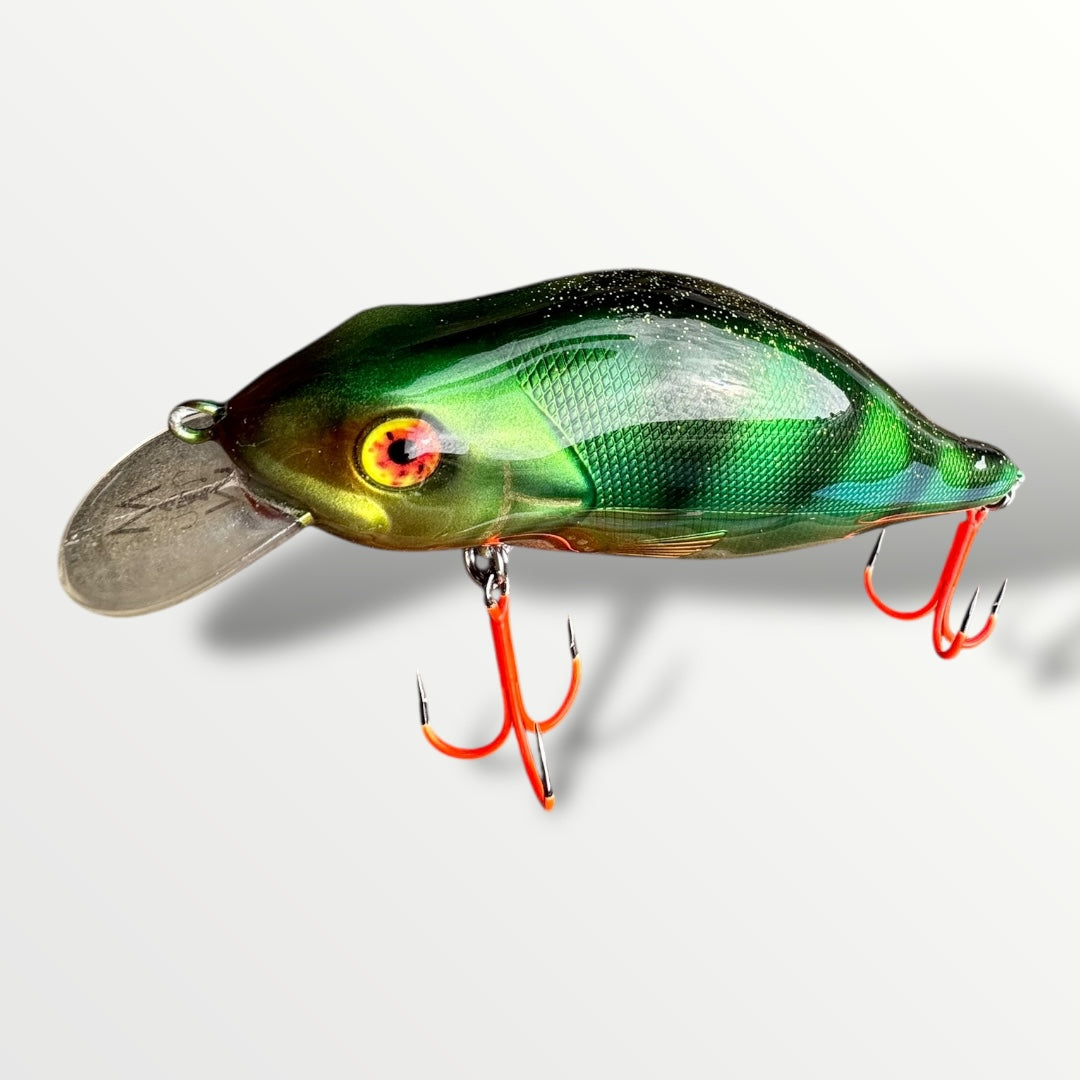 The walleye Perche 5”