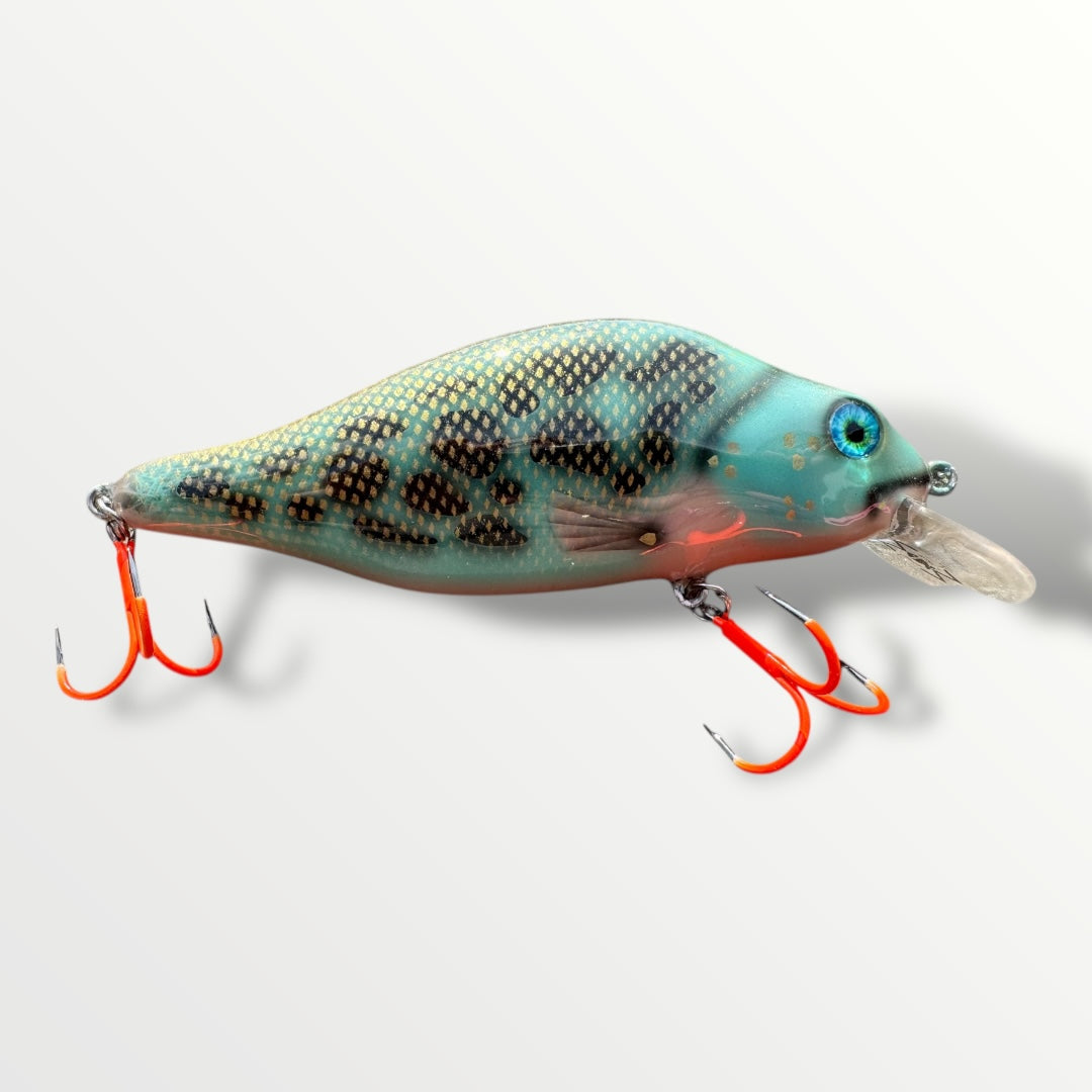 The walleye 5” custom gespoten en UV treble #1 afgehaakt.