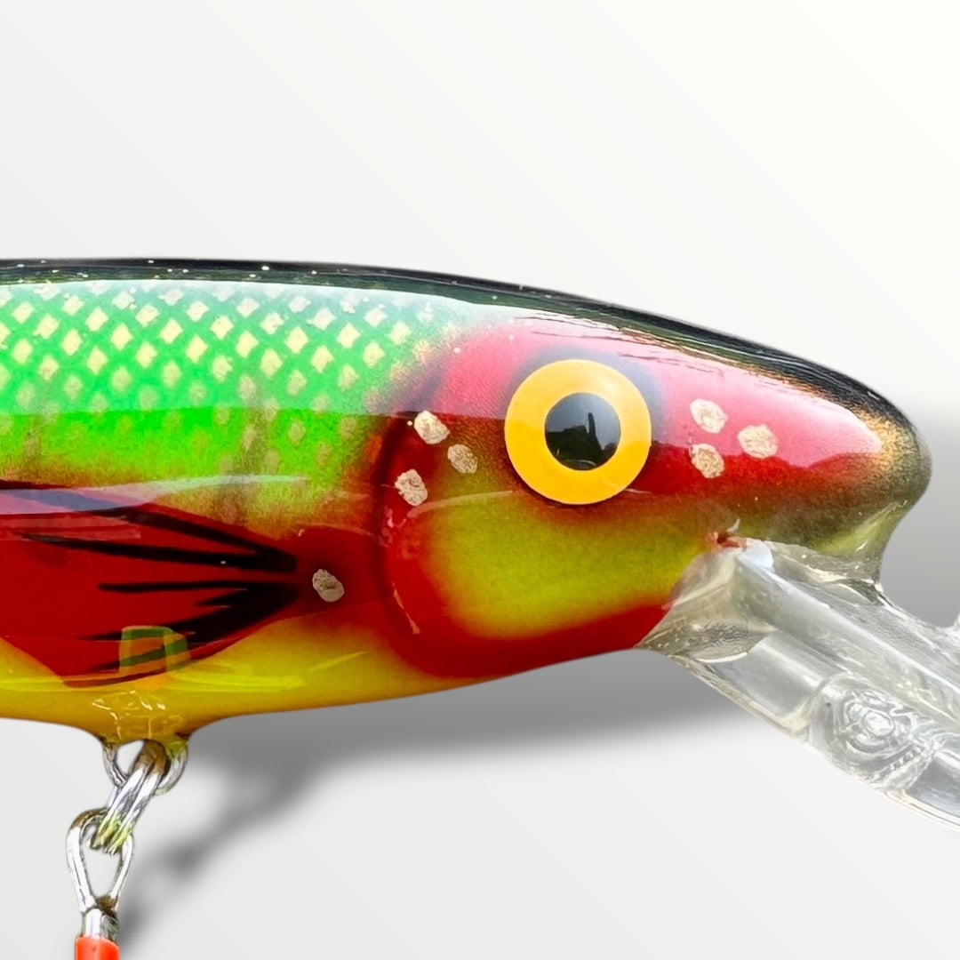 The ErnieCC 6” FireFin