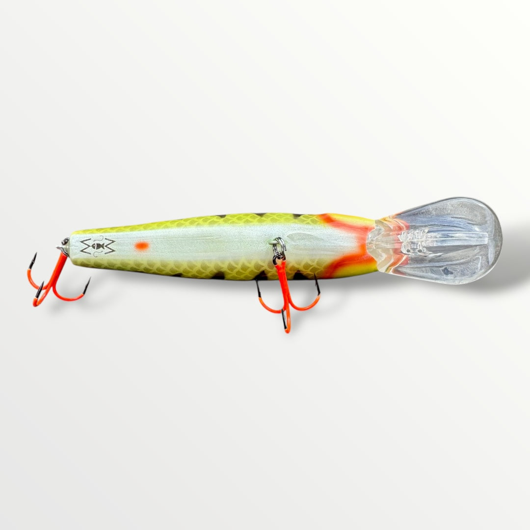 The Erniecc 6” Perche