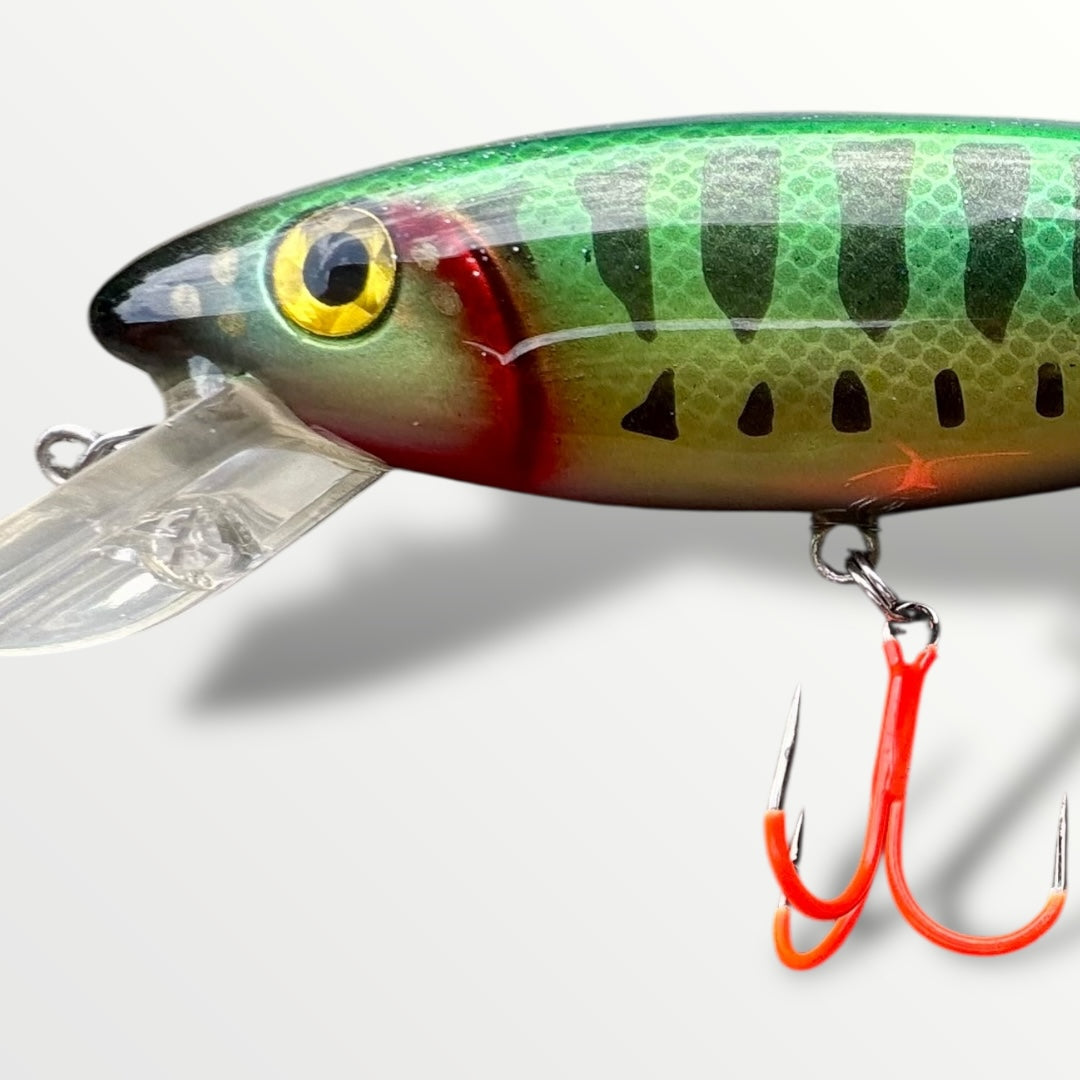 The Erniecc 6” jungleFang