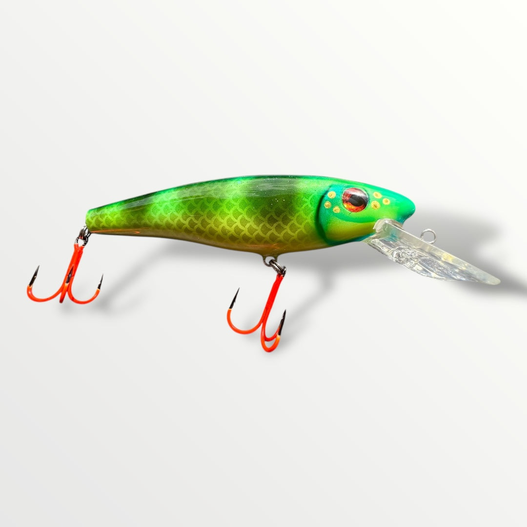 The ErnieCc 6” MahiMahi