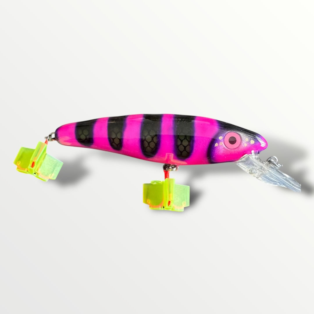 The ErnieCC 6” Maja