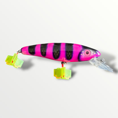 The ErnieCC 6” Maja