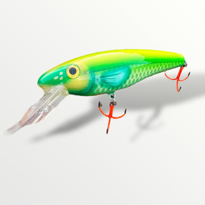 The Erniecc 6” Kermit