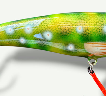 The ErnieCC 6”Nuclear Gill
