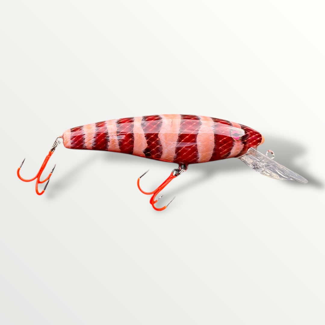 The ErnieCC 6” Snake