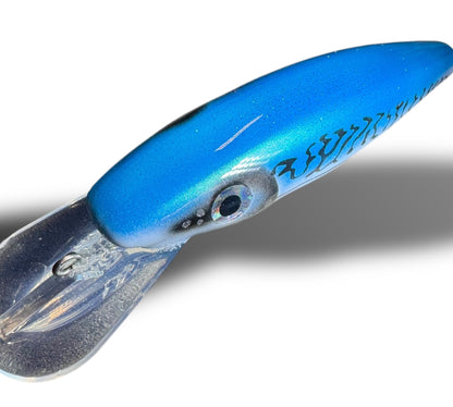 The CC Ernie ''6 Herring