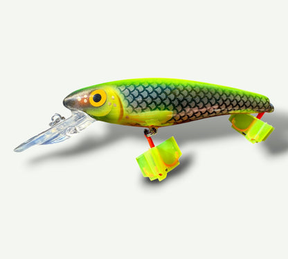 The ErnieCC 6” Neon