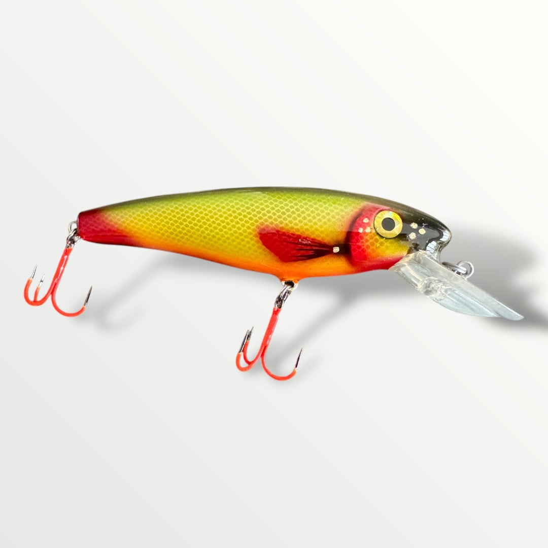 The ErnieCC 6”