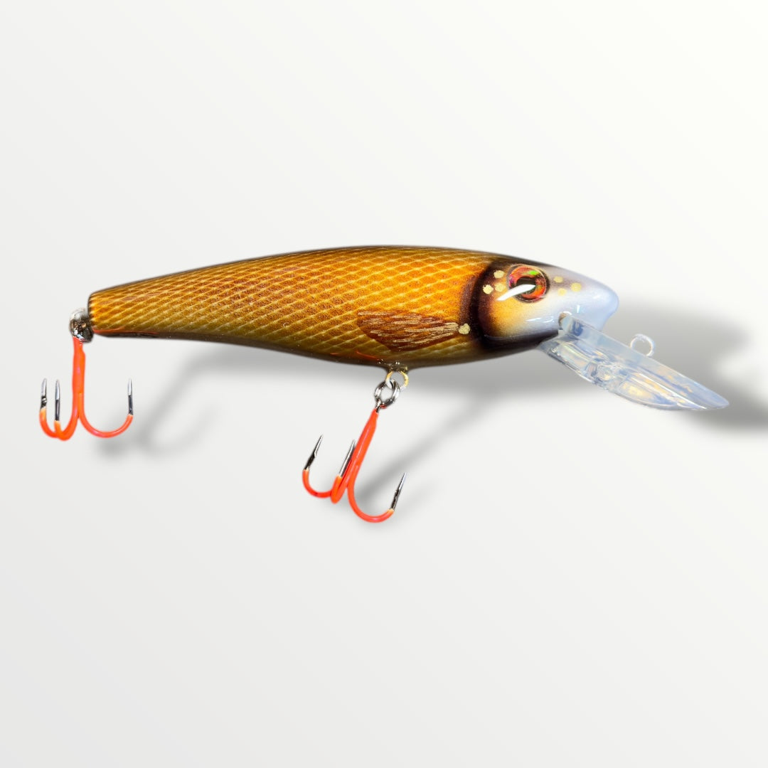 The Erniecc 6” Goldy