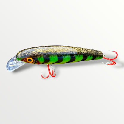 The ErnieCc 6” FireTiger