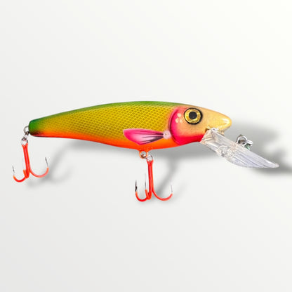 The ErnieCC 6”