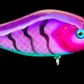 De Jerkbait Slider "4" pink lady 2