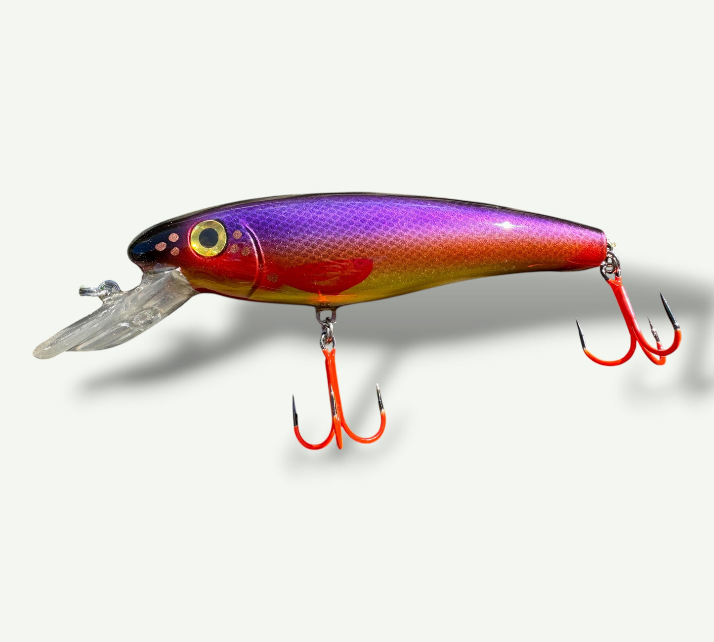 The ErnieCC 6”   SunsetRaider