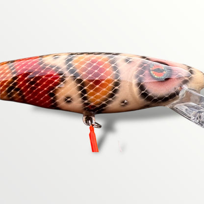 The ErnieCC 6” Boa