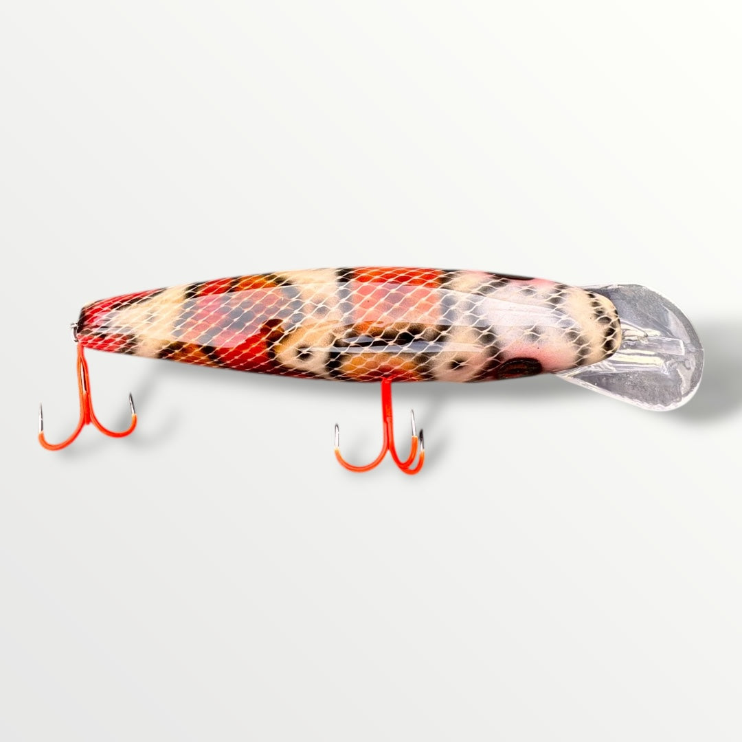 The ErnieCC 6” Boa