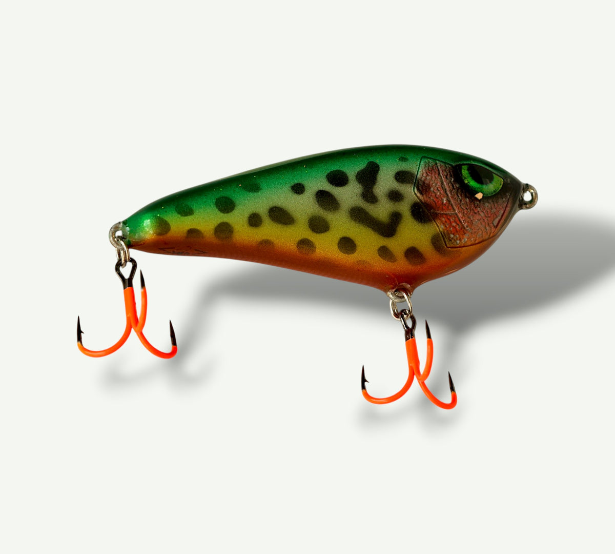 Musky slider “3,1 Tiger