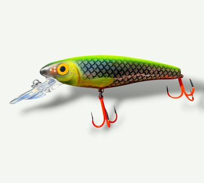 The ErnieCC 6” Neon