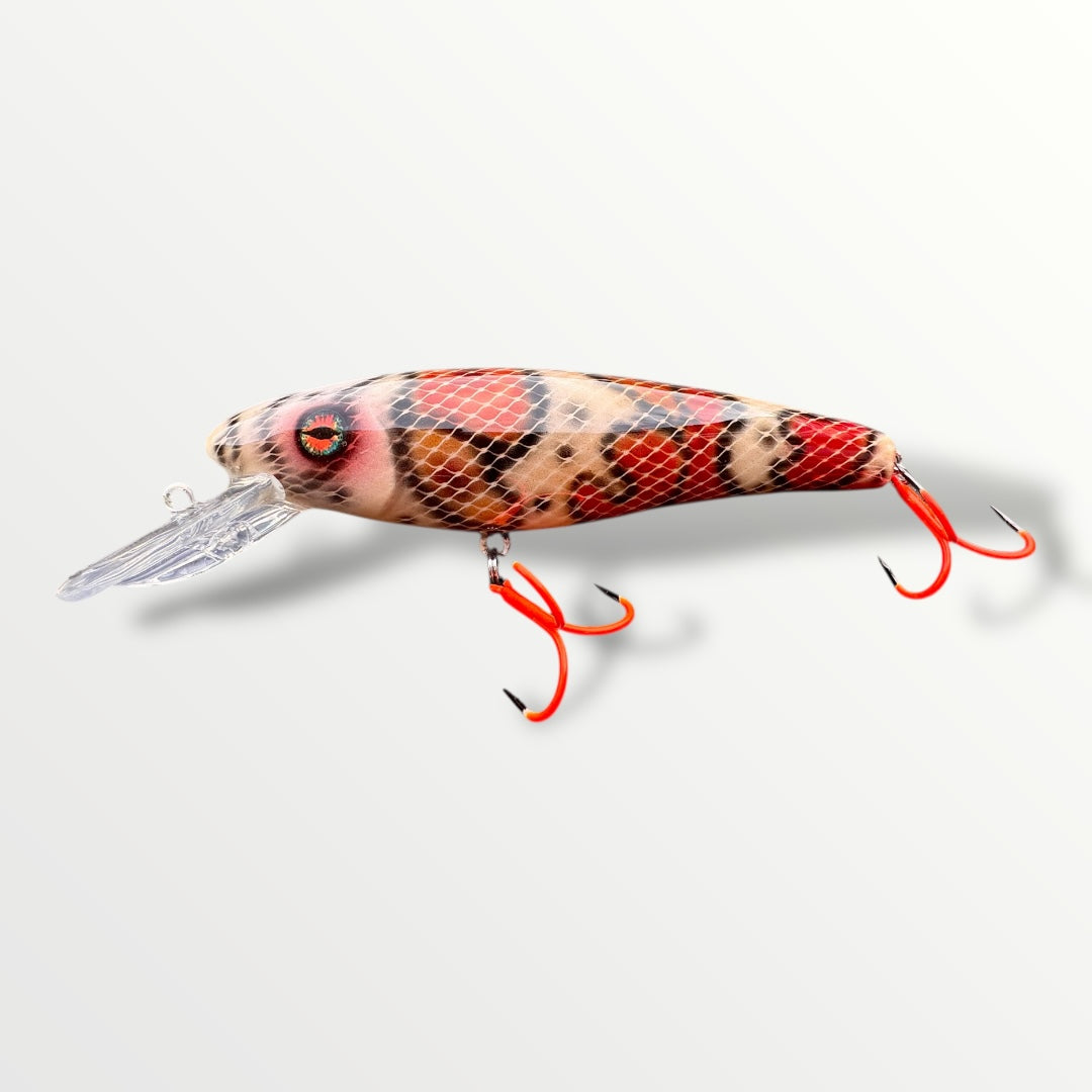 The ErnieCC 6” Boa