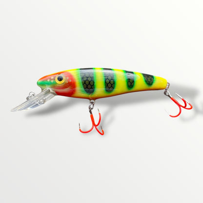 The ErnieCC 6” Maja