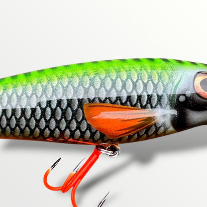 The Erniecc 6” NeonRoach