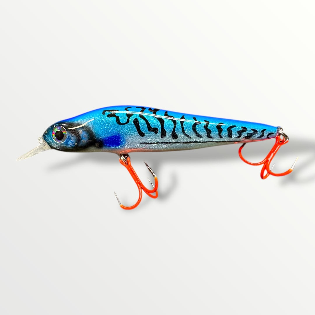 Big Head Minnow Herring the streetfishing sensatie