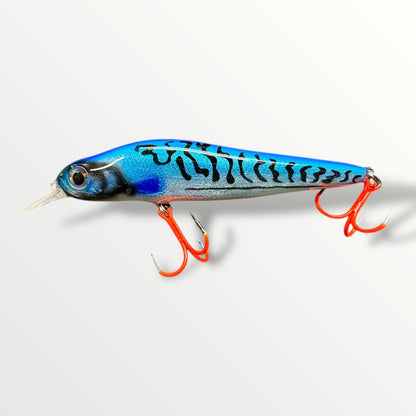 Big Head Minnow Herring the streetfishing sensatie