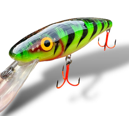 The ErnieCc 6” FireTiger