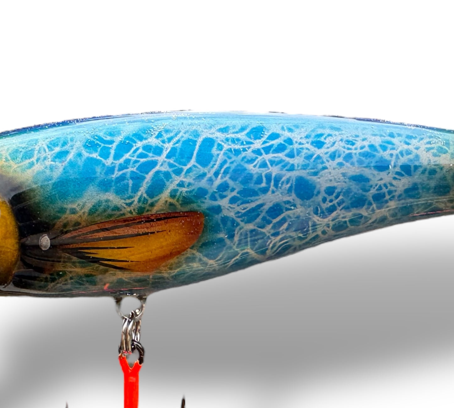 The Erniecc 6” Blue Shine