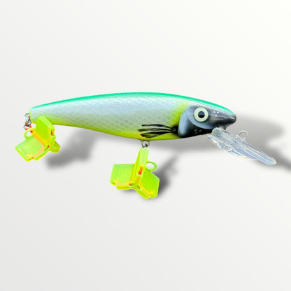 The CC Ernie 6'' Moly