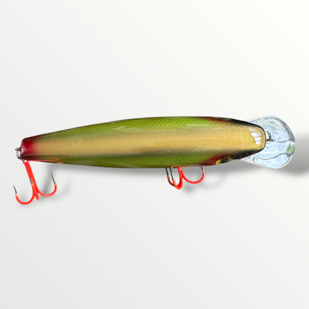 The ErnieCC 6”