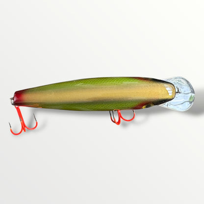 The ErnieCC 6”