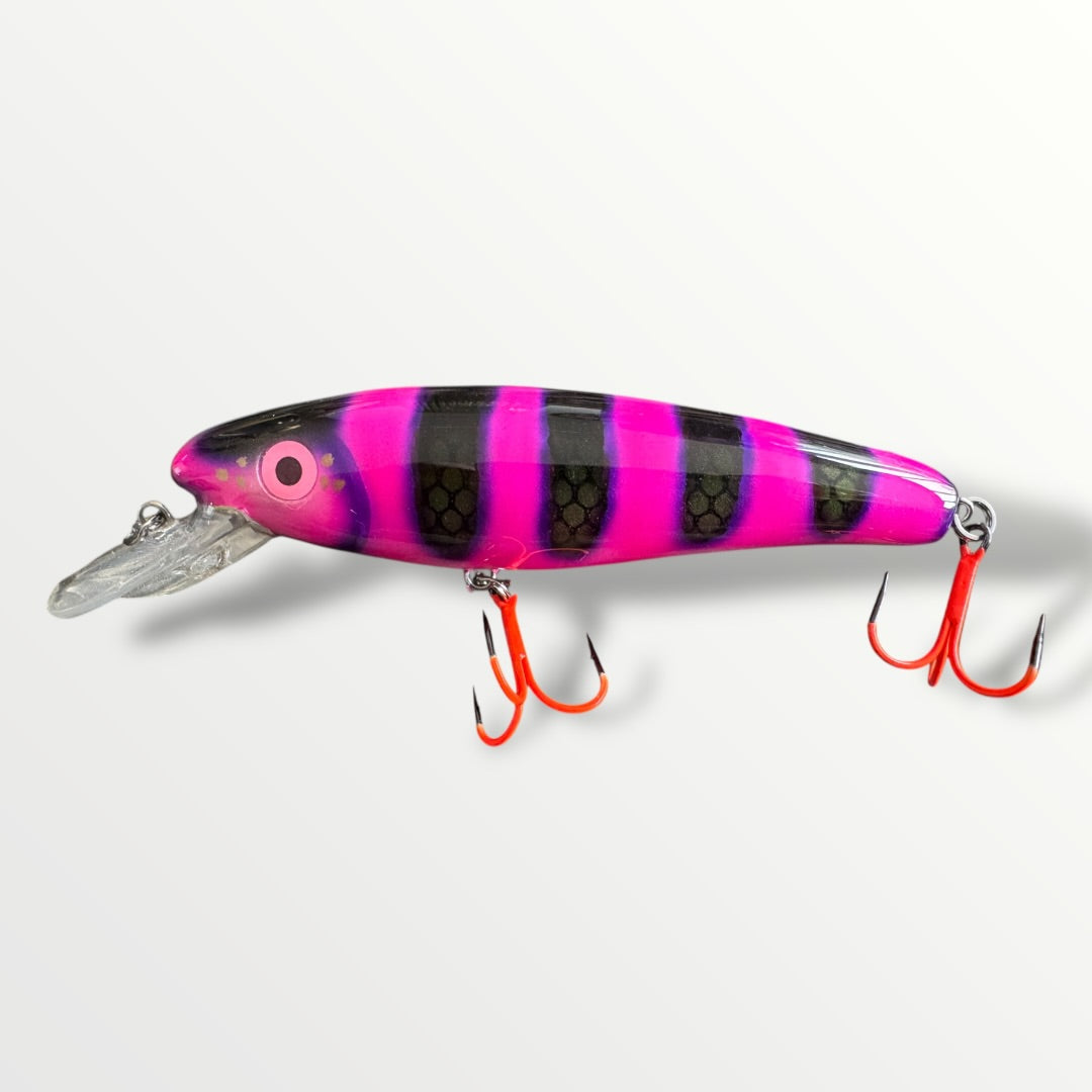 The ErnieCC 6” Maja