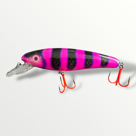 The ErnieCC 6” Maja