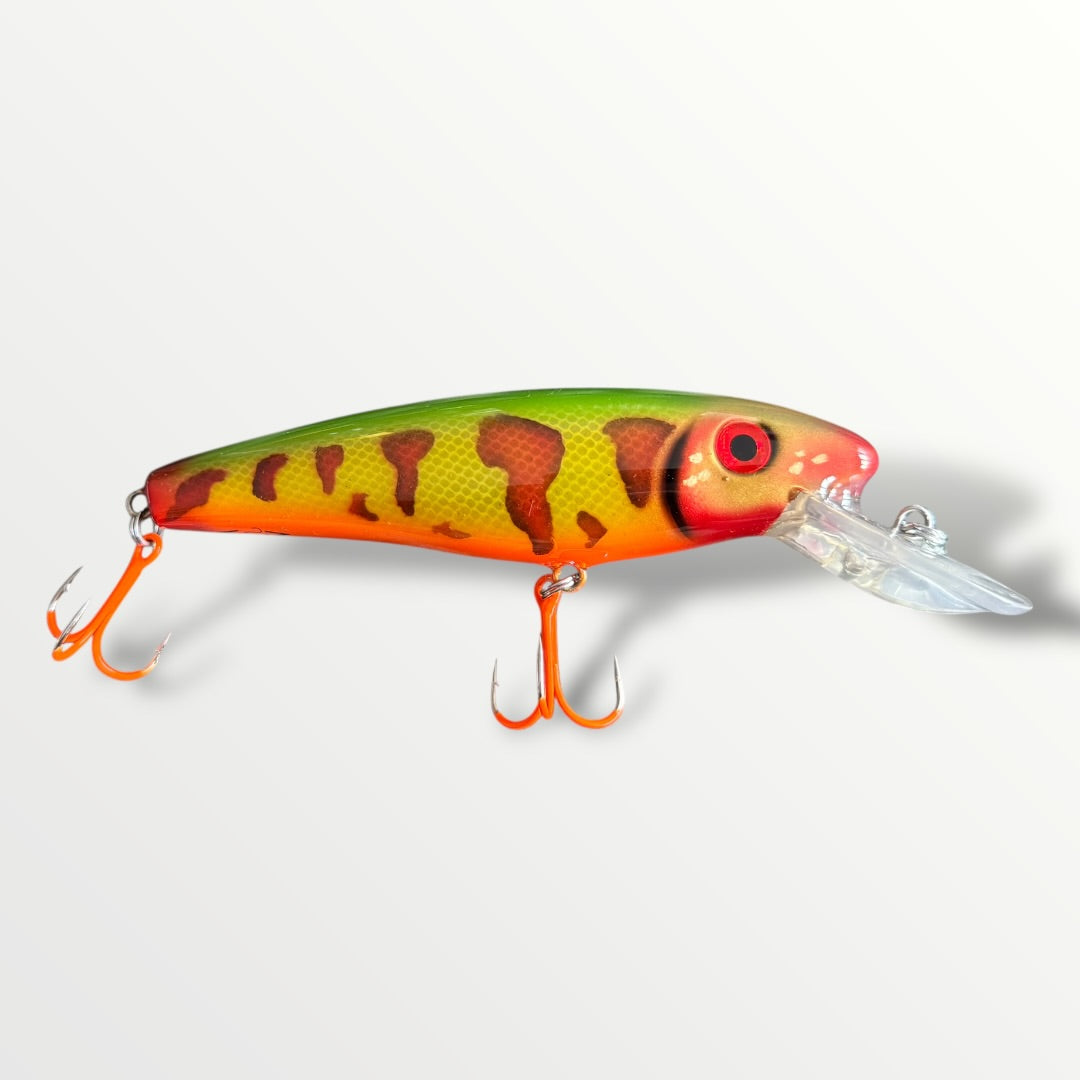 The ErnieCC 6” Tiger