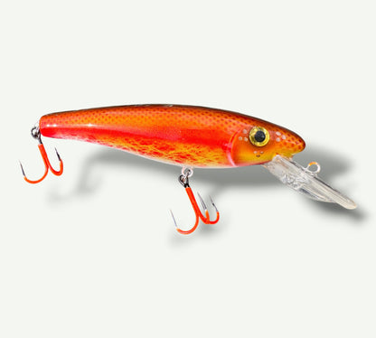 The ErnieCC 6”  GoldFish