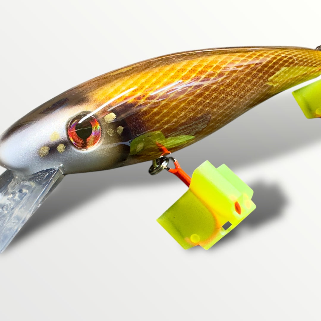 The Erniecc 6” Goldy