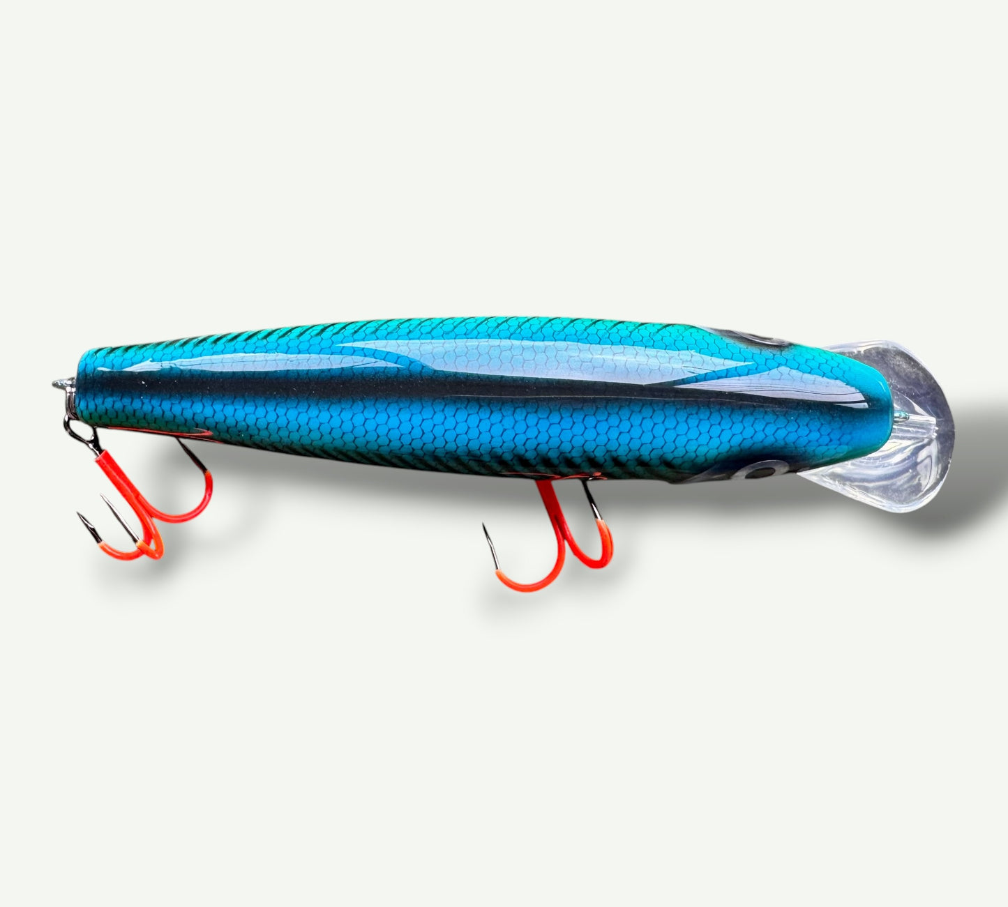 The ErnieCC 6”   BlueViper