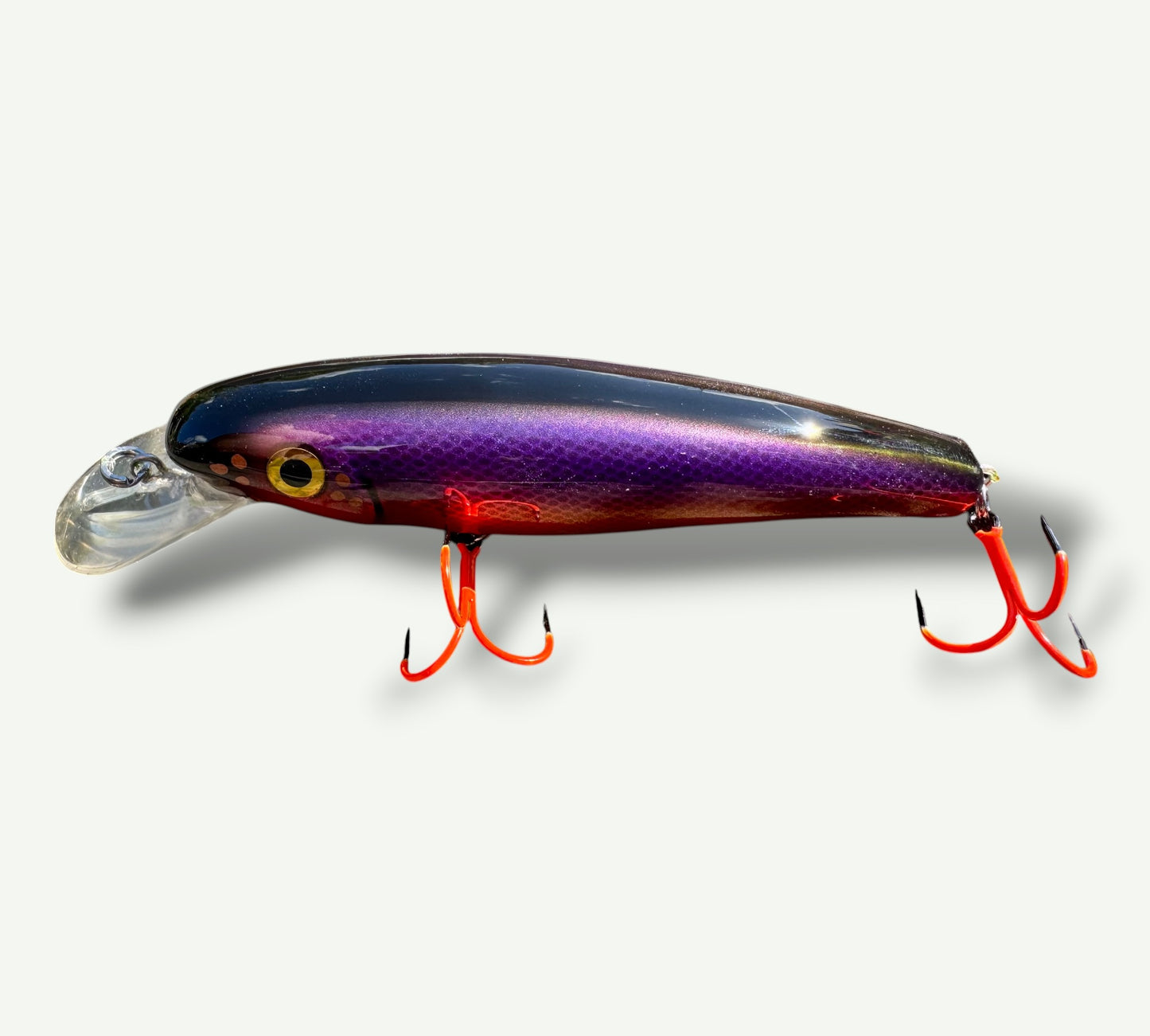 The ErnieCC 6”   SunsetRaider