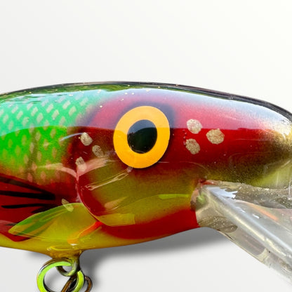 The ErnieCC 6” FireFin