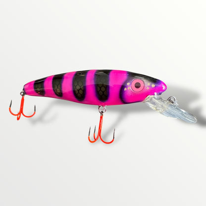 The ErnieCC 6” Maja